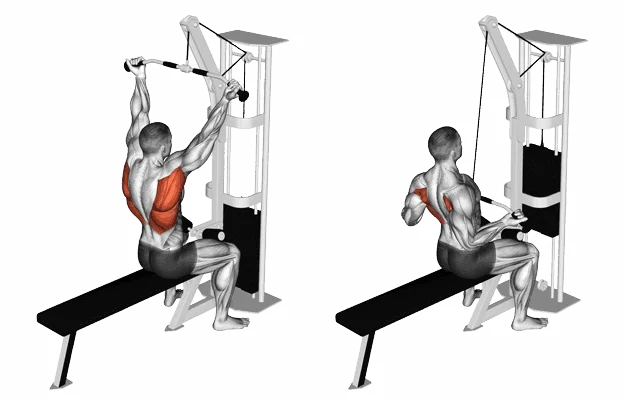Lat Pulldown Hareketi Hangi Kasları Çalıştırır?