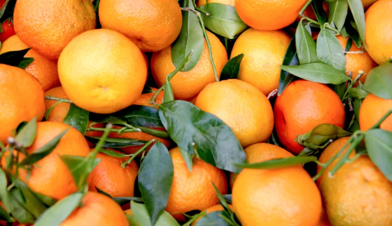 Mandalina Kilo Aldırır Mı