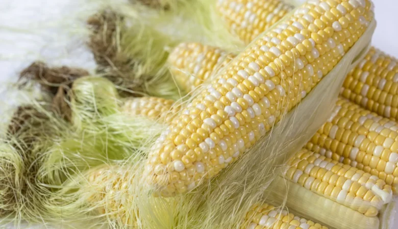 Mısır Püskülü Faydaları, Mısır Püskülü Çayı Ödem Atar Mı?