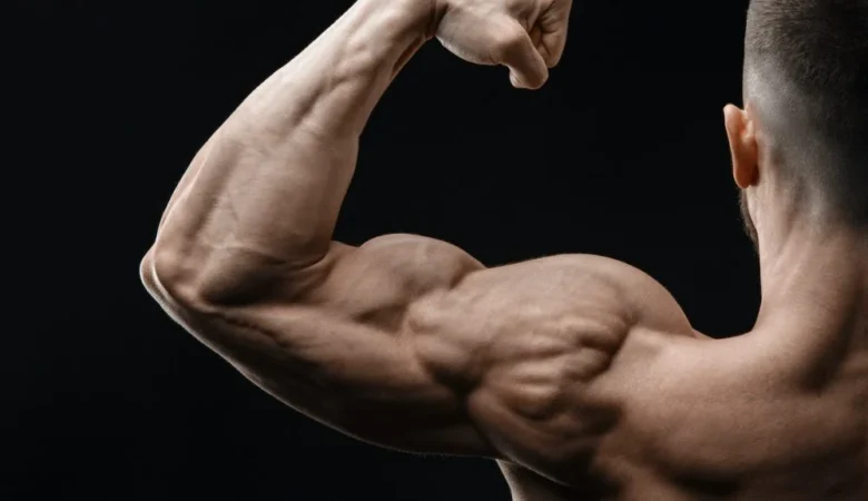 Omuz Nasıl Genişler? Omuz Genişletme Egzersizleri Nelerdir?