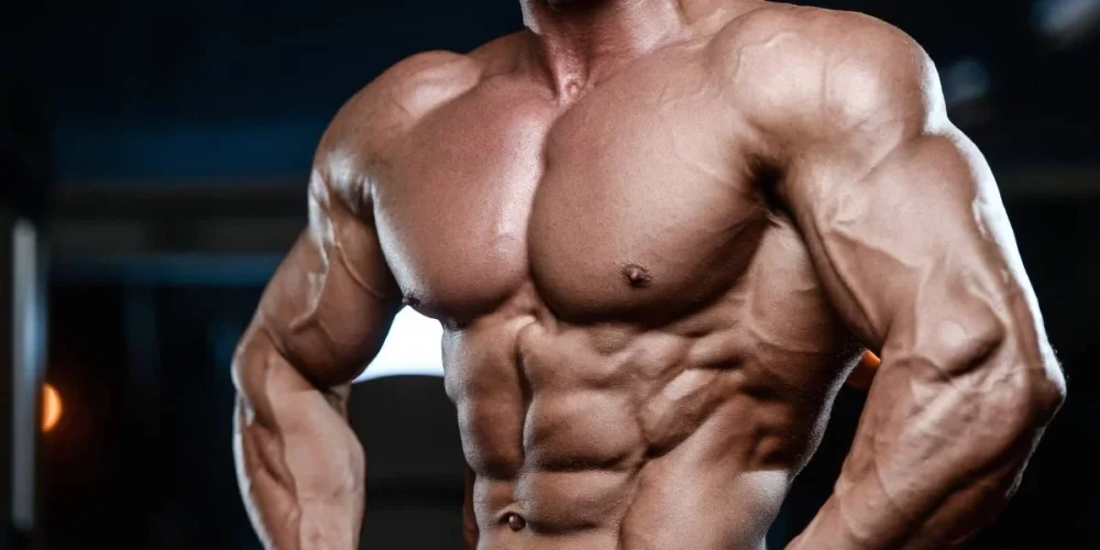 Plateau Nedir? Ne Anlama Gelir? 1 Plateau Nedir? Ne Anlama Gelir?