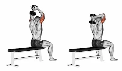 En Etkili Arka Kol Hareketleri 9 Seated Dumbbell Triceps Extension (Seated Dumbbell Arka Kol Uzatma)