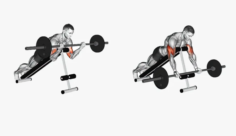 Spider Curl Egzersizi