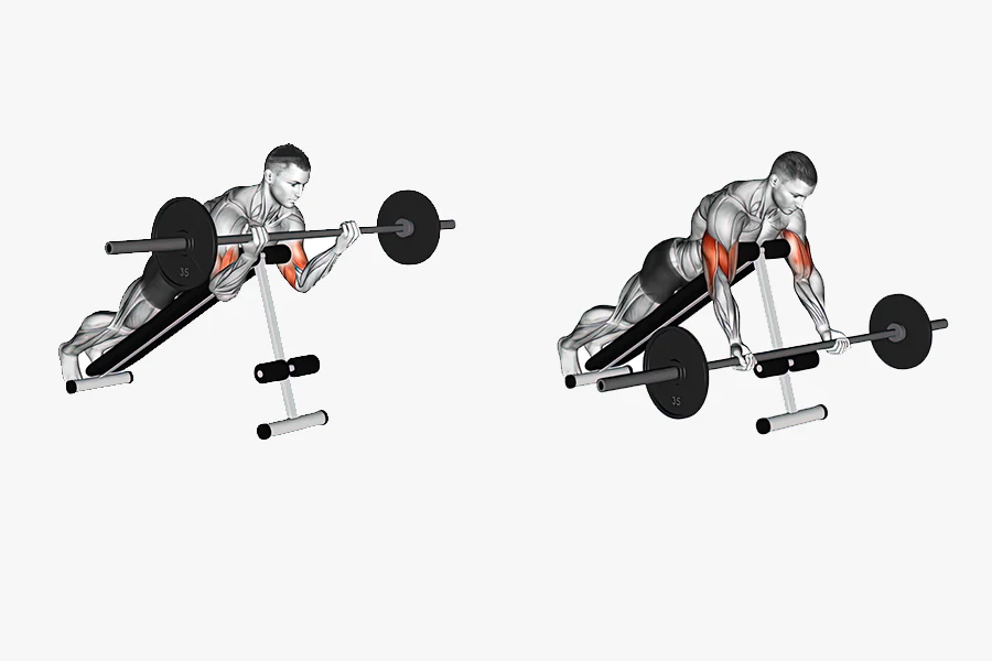 Spider Curl Egzersizi 1 Spider Curl Egzersizi