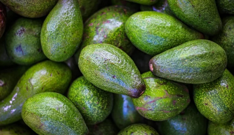 Avokado Faydaları Nelerdir Ne İşe Yarar
