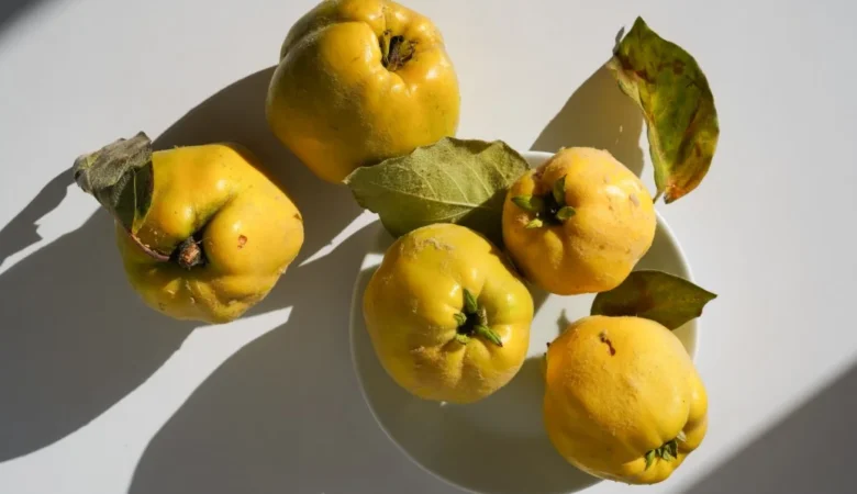 Ayva Faydaları Nelerdir Ne İşe Yarar