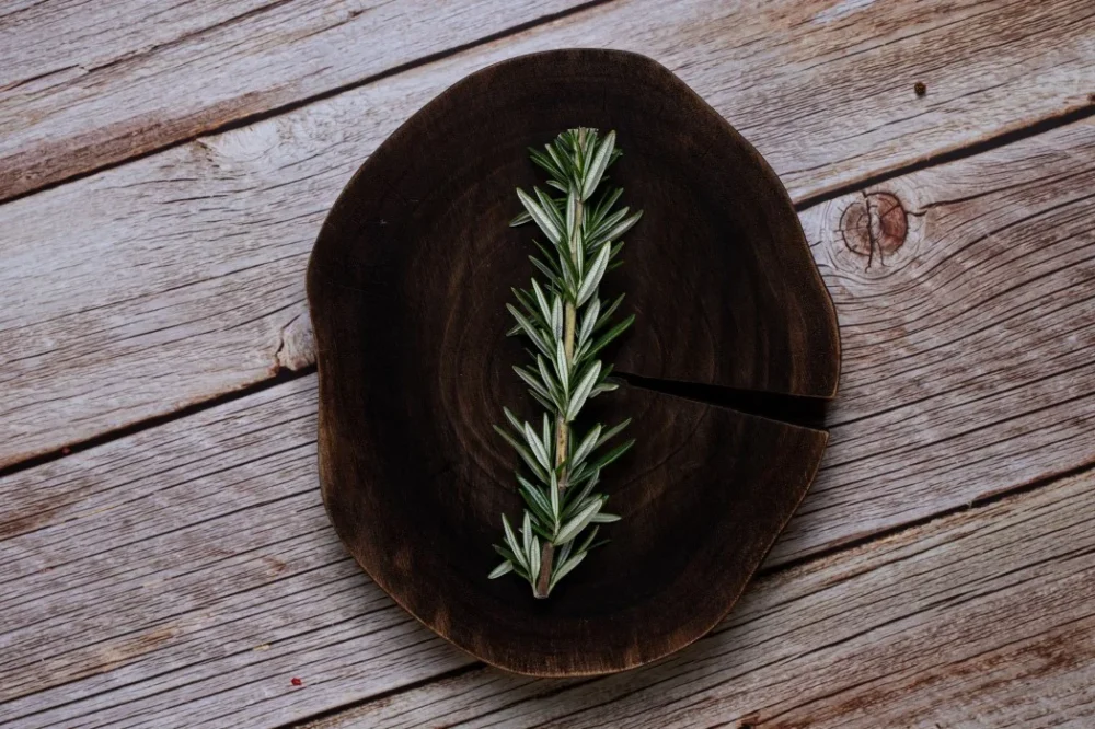 Biberiye Yağı Faydaları Nelerdir? Ne İşe Yarar? 1 Biberiye Yağı Faydaları Nelerdir Ne İşe Yarar