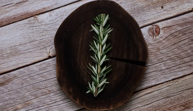 Biberiye Yağı Faydaları Nelerdir Ne İşe Yarar