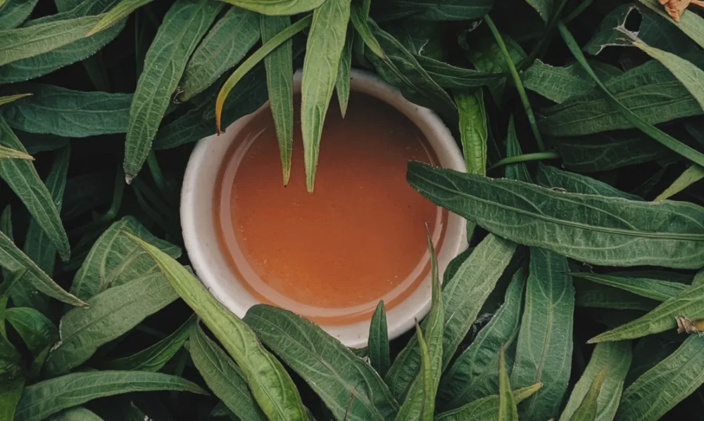 Bitki Çayı Zayıflatır Mı? 1 Bitki Çayı Zayıflatır Mı