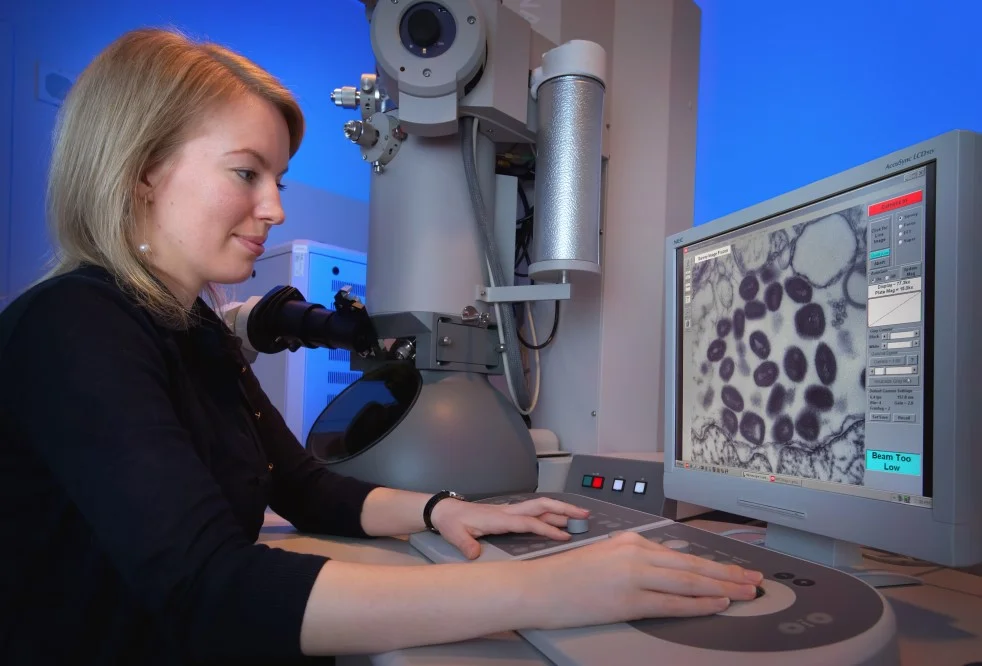 Çiçek Hastalığı Belirtileri Nelerdir? Nasıl Fark Edilir? 1 Çiçek Hastalığı Belirtileri Nelerdir? Nasıl Fark Edilir?