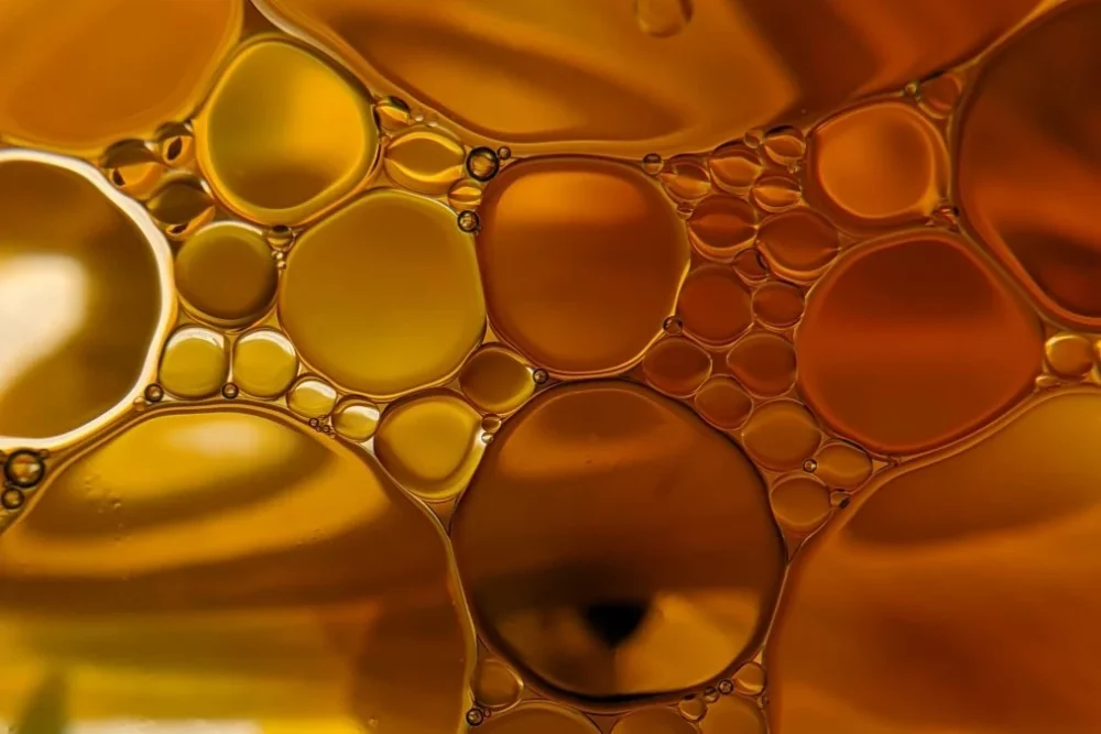 Doymuş Yağ Zararlı Mı? Zararları Nelerdir? 1 Doymuş Yağ Zararlı Mı? Zararları Nelerdir?