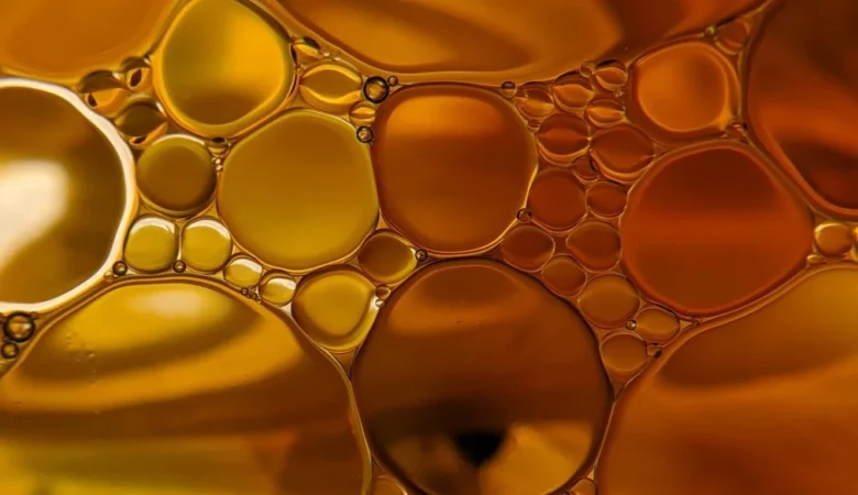 Doymuş Yağ Zararlı Mı? Zararları Nelerdir?