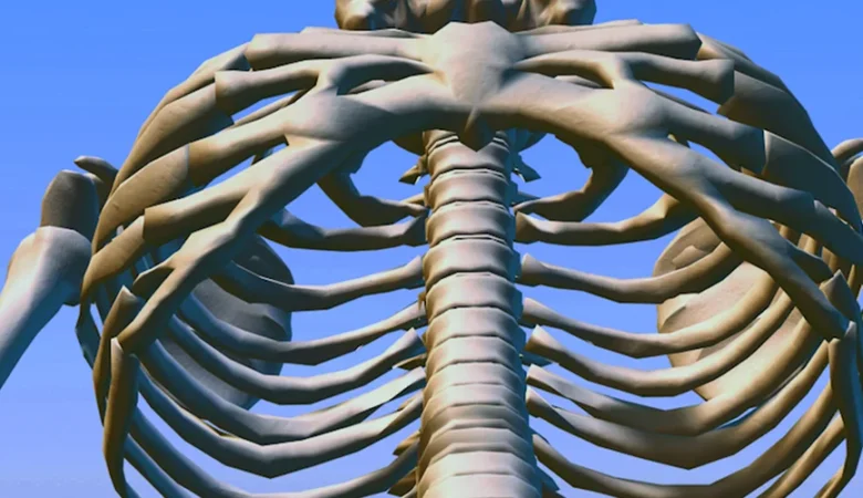 Gogus Kafesi Kas Agrisi Nedenleri ve Gecis Yollari