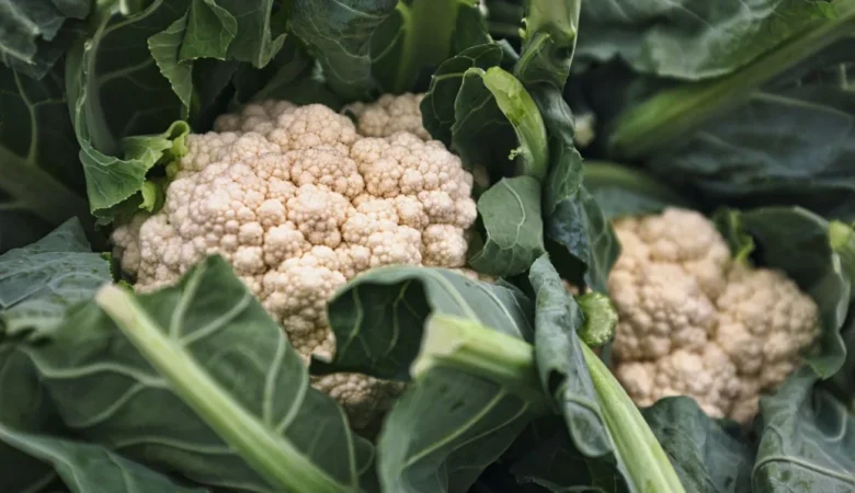 Karnabahar Zayıflatır Mı