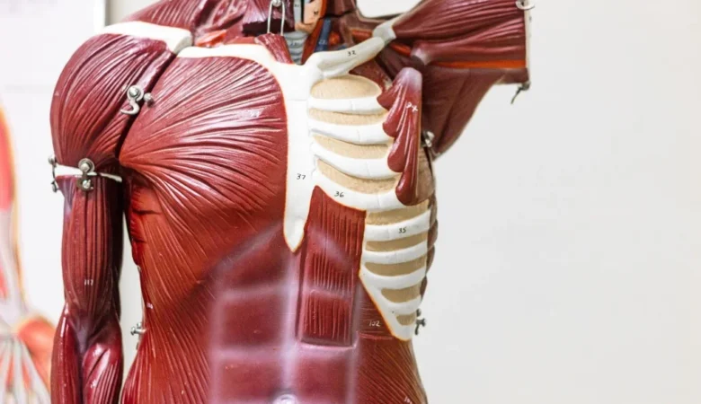 Kas Hastalığı Neden Olur Nasıl Tedavi Edilir