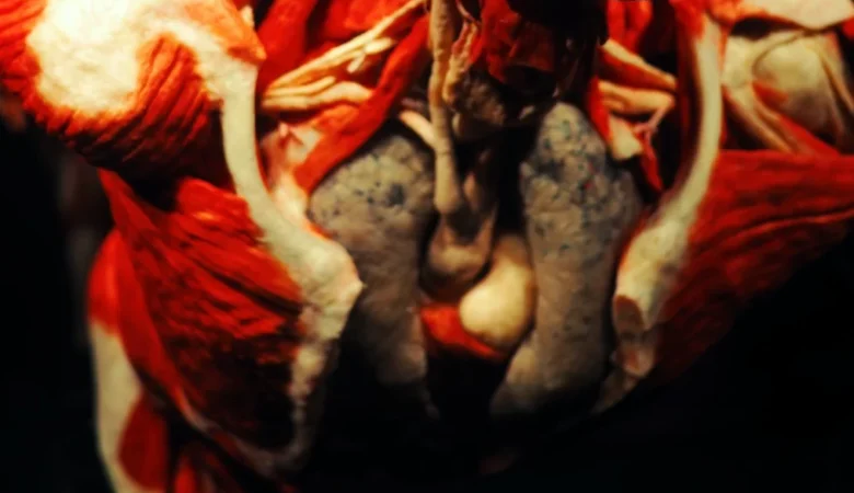 Kas Spazmı Nedir Neden Olur Nasıl Tedavi Edilir