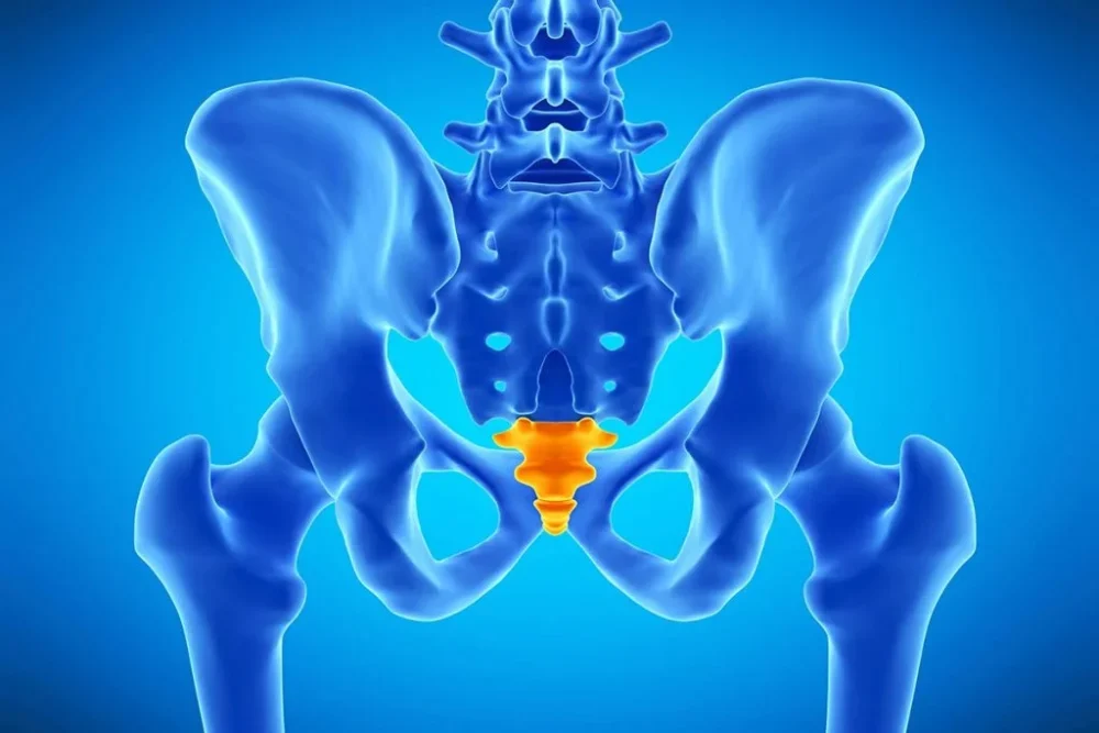 Kuyruk Sokumu Agrisi