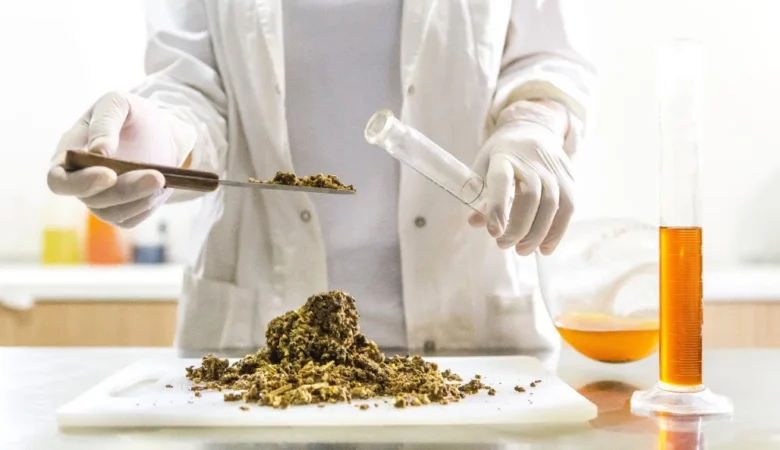 Propolis Faydaları Nelerdir Ne İşe Yarar