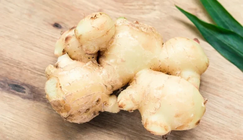 Zencefil Faydaları Nelerdir?